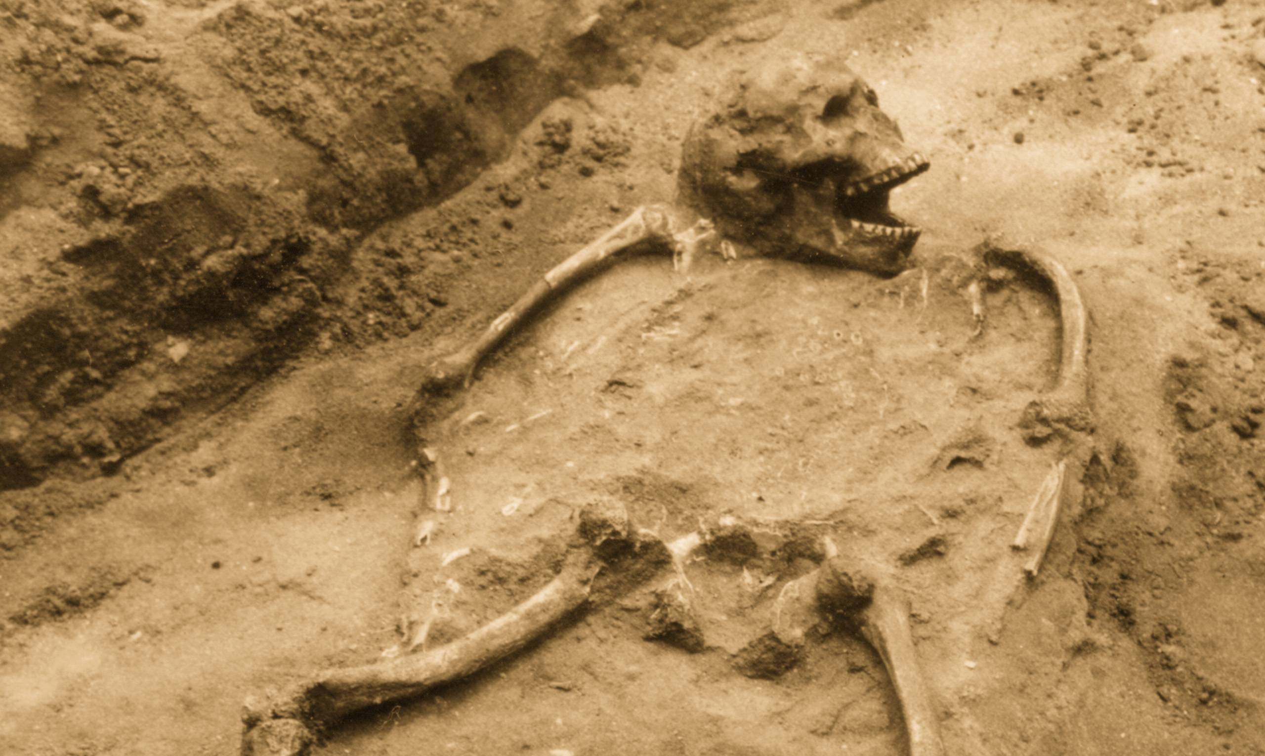 072720-41-History-Ancient-Disease