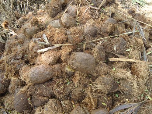 Unmooring the Myth: Debunking Noah’s Ark as Historical Fact 12 Unmooring the Myth: Debunking Noah’s Ark as Historical Fact