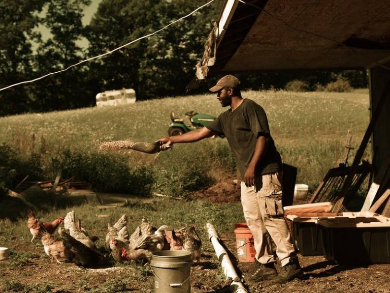 083120-05-Agriculture-Farming