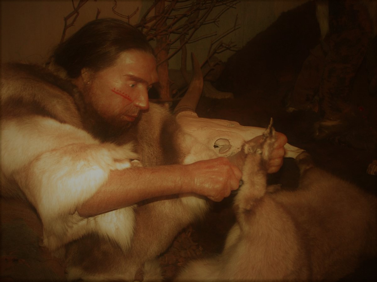poetry for neanderthals reddit