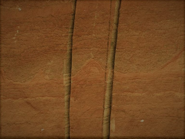 092720-07-History-Biology