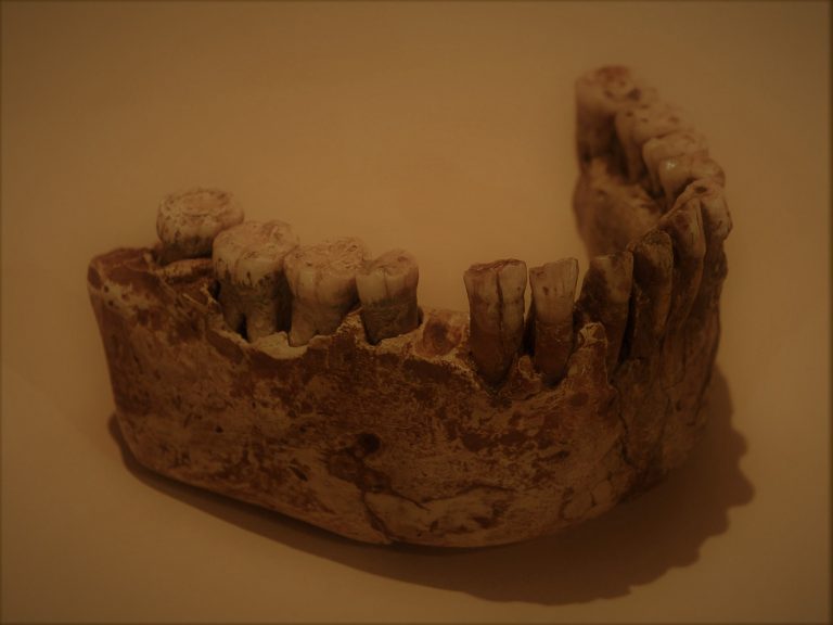 092720-08-History-Evolution