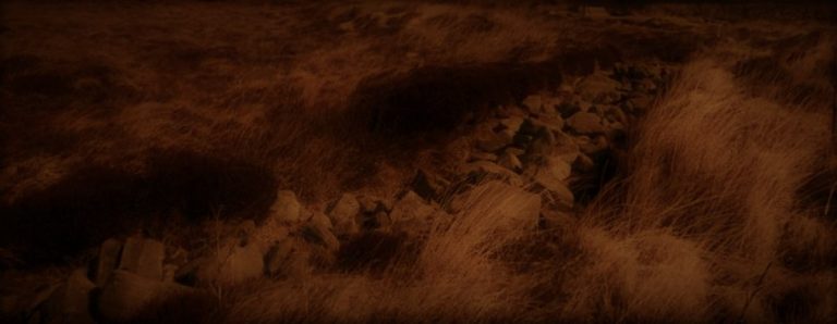 101120-20-History-Agriculture