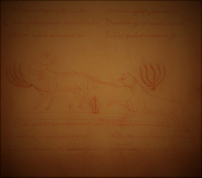 101420-23-History-Ysengrimus-Literature