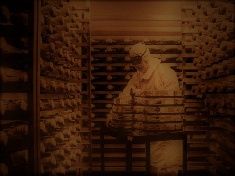 101420-53-COVID-Coronavirus