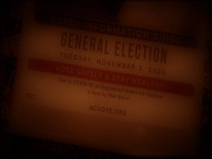 How Election Officials Are Preparing for Voter Intimidation Tactics 8 102120-35-Politics-Election
