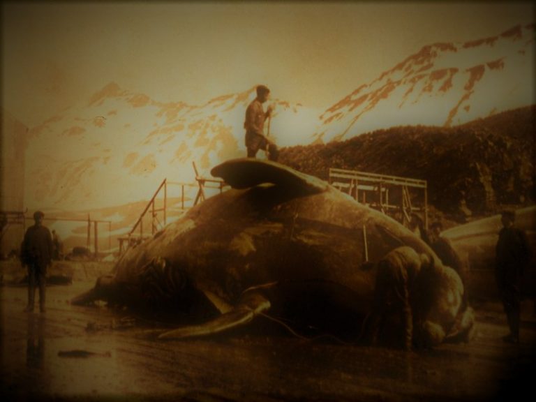 111820-36-Enviornment