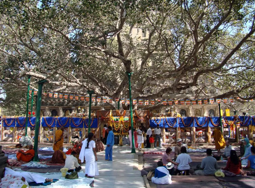 Buddhist convention in front of the Bodhi tree at Bodh Gaya, 2013