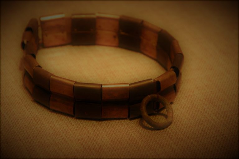 112820-57-History-Animals