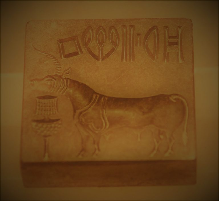 112820-66-History-Animals