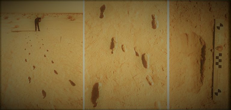 112920-59-Prehistory