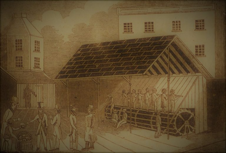 120620-61-History-Law