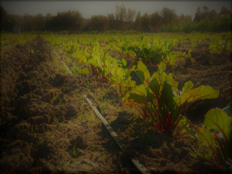 121320-07-Climate-Change