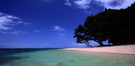 The Marshall Islands Face Being Wiped Out By Climate Change 3 The Marshall Islands Face Being Wiped Out By Climate Change