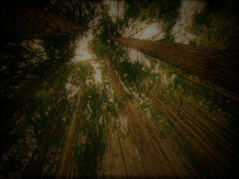 121320-63-Climate-Change