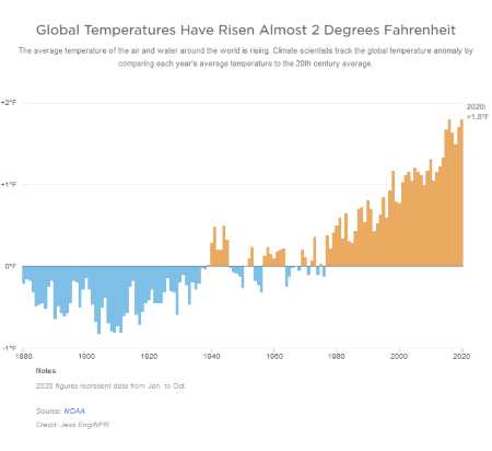 2020 May Be The Hottest Year On Record. Here's The Damage It Did