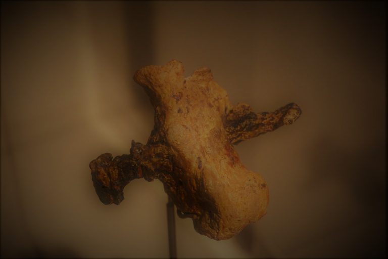 121920-03-History-Rome