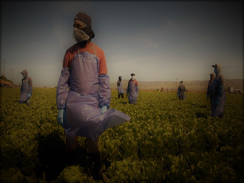 122520-19-Immigration-Labor