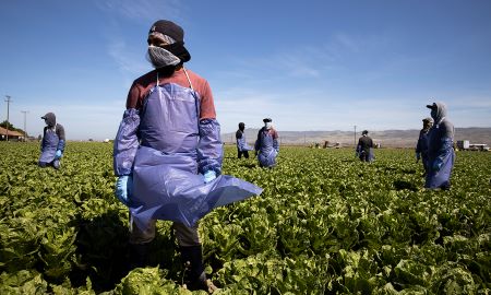 Migrant Workers: Their Occupational Health and Safety
