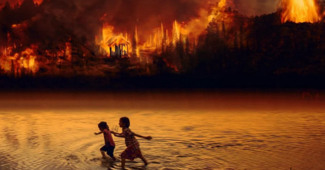 Amazon Rainforest Will Collapse by 2064