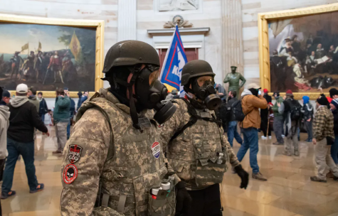 What Is the 'Boogaloo' and Who Are the Rioters Who Stormed the Capitol?