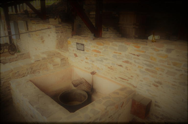 012621-12-History-Rome-Wine