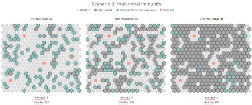 How Herd Immunity Works — And What Stands in Its Way