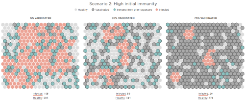 How Herd Immunity Works — And What Stands in Its Way