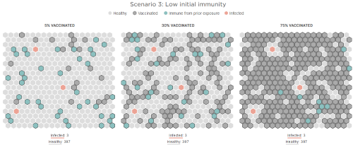How Herd Immunity Works — And What Stands in Its Way