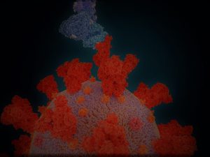 Worried about Coronavirus Variants? Here's What You Need to Know 3 SS1152521