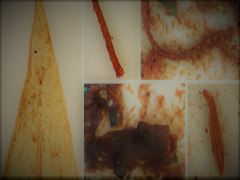 031521-21-Climate-Change