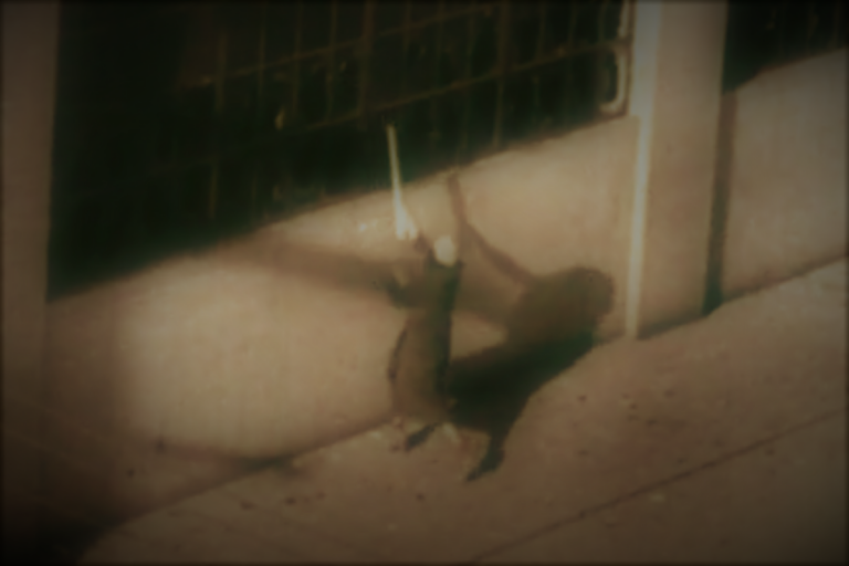 031821-24-History-Women