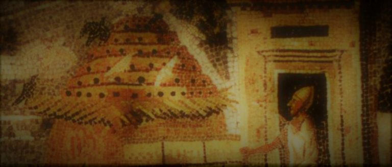 032221-15-History-Communication-Animals