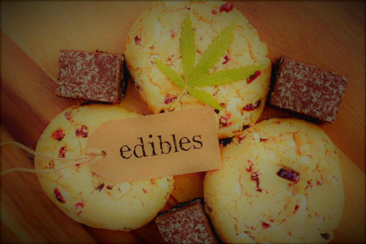 Tips For Dosing Cannabis Edibles For Great Results Brewminate A Bold Blend Of News And Ideas