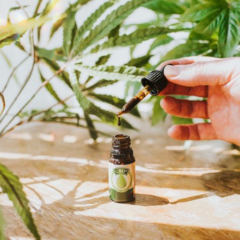 CBD, Marijuana, and Hemp: What's the Difference and Which Are Legal?