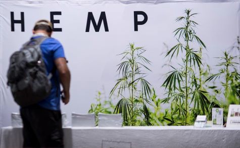CBD, Marijuana, and Hemp: What's the Difference and Which Are Legal?