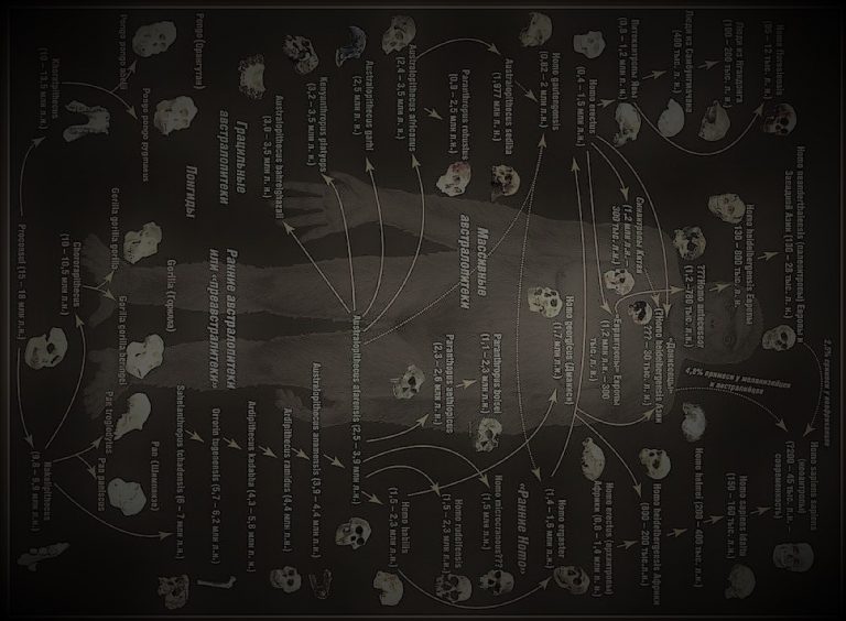 040521-10-History-Evolution