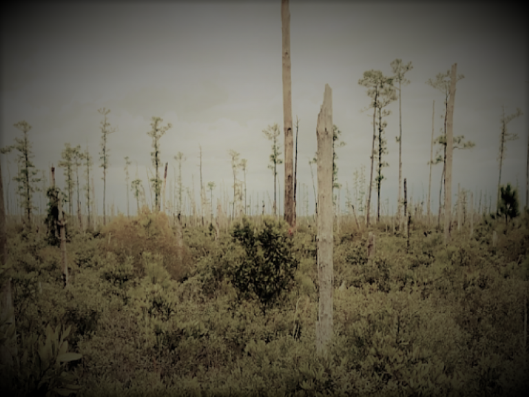 040621-04-Climate-Change