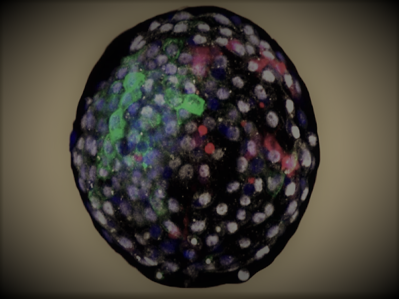 041521-05-Science-Medicine