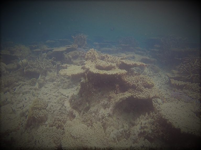 042921-06-Climate-Change