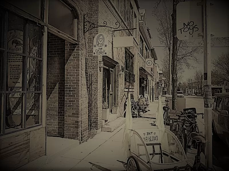 Common Ground From Sobriety to a Coffee Shop in Wisconsin Brewminate