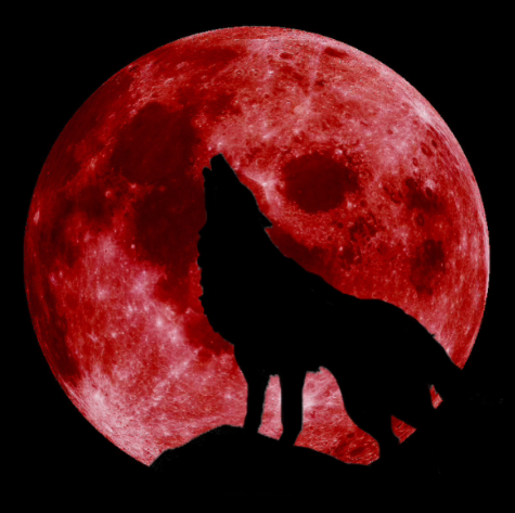 Interview: 'The Werewolf in the Ancient World' by Daniel Ogden 4 Interview: 'The Werewolf in the Ancient World' by Daniel Ogden