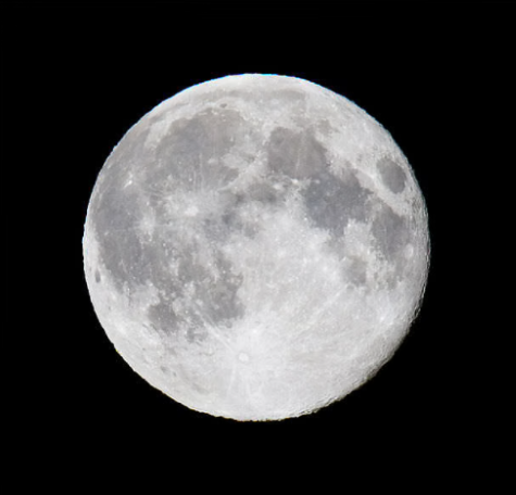 Interview: 'The Werewolf in the Ancient World' by Daniel Ogden 6 Interview: 'The Werewolf in the Ancient World' by Daniel Ogden