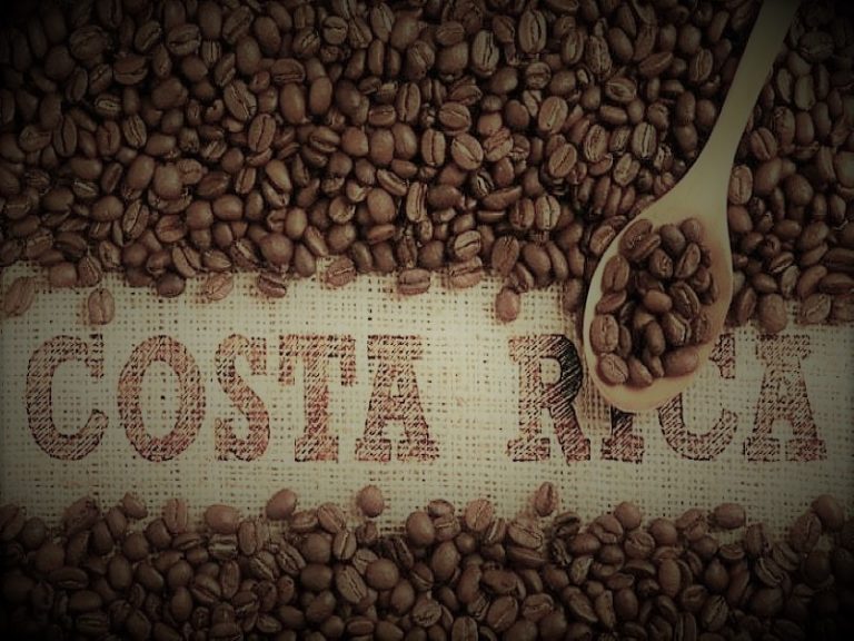 051420-01-Coffee-Cafe-Britt