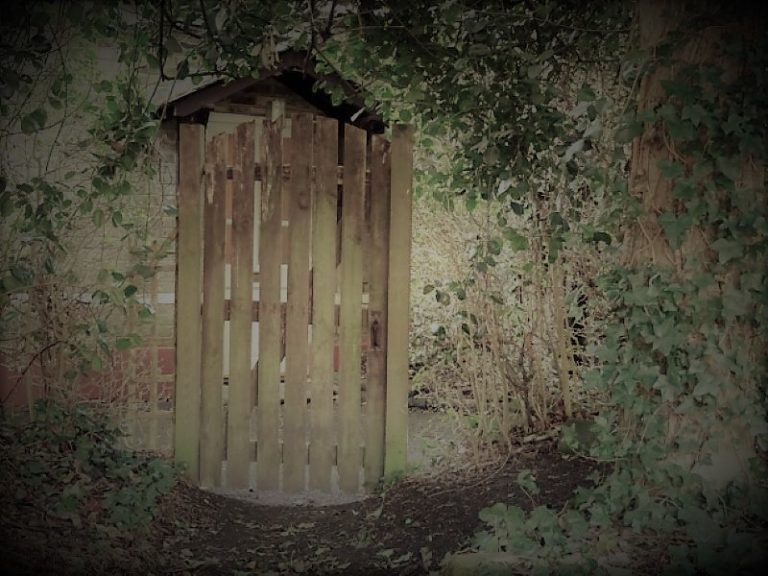 051721-16-Environment-Garden