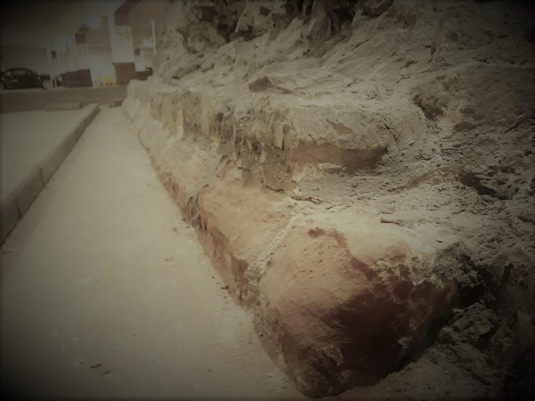 052121-06-Jane-Sidell-History