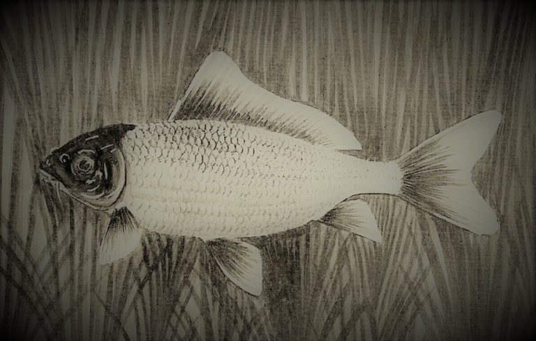 052921-26-History-Art