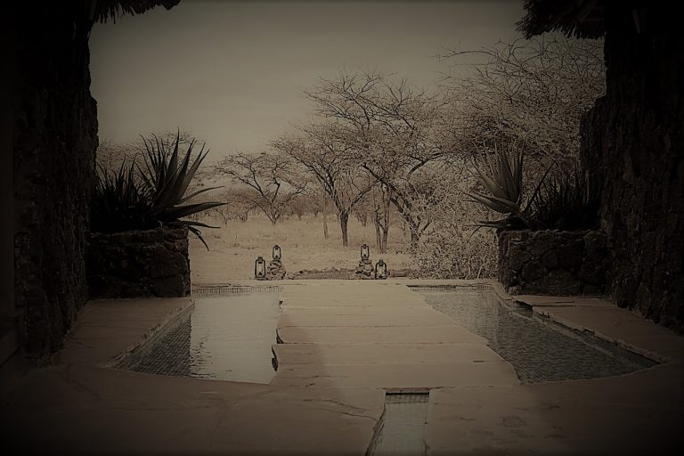 DecompressSummer-CarolTrehearn02