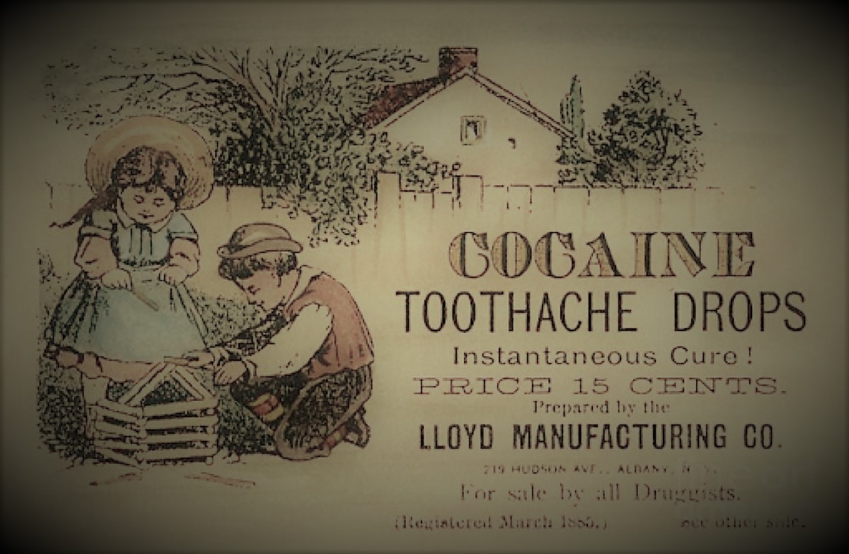 Historical and Cultural Aspects of Man's Relationship with ...