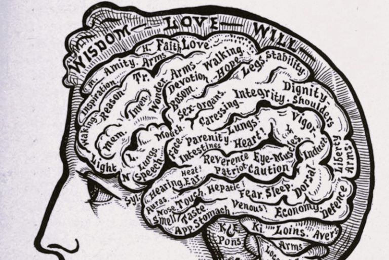 ScienceOfConsciousness01